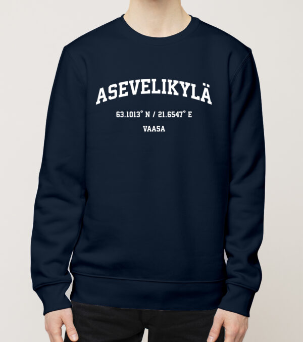 Vaasa - Asevelikylä, Koordinaatit, college - Image 2