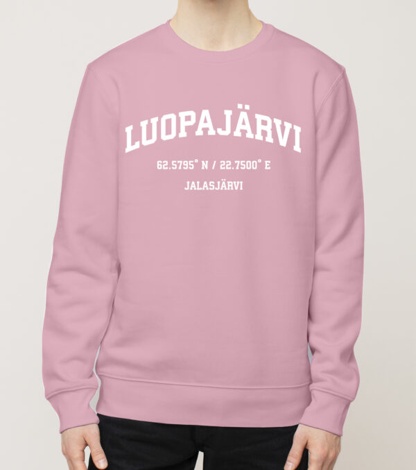 Kurikka - Luopajärvi, Koordinaatit, college - Image 3