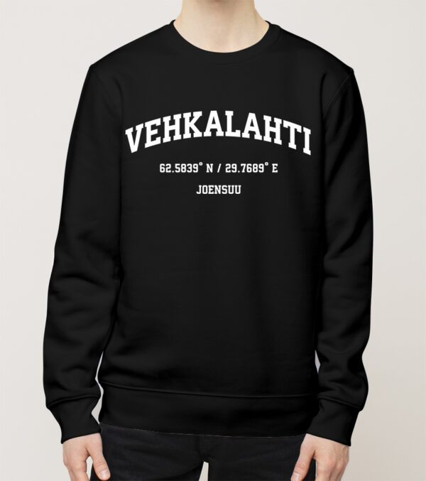 Joensuu - Vehkalahti, Koordinaatit, college