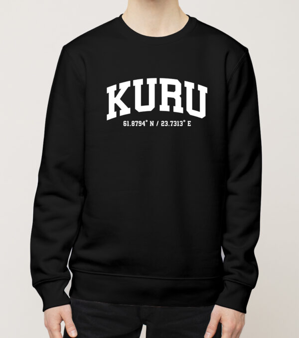 Ylöjärvi - Kuru, Koordinaatit, college
