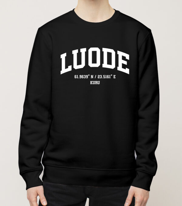 Ylöjärvi - Luode, Koordinaatit, college