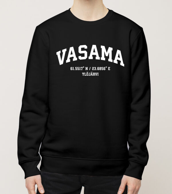 Ylöjärvi - Vasama, Koordinaatit, college